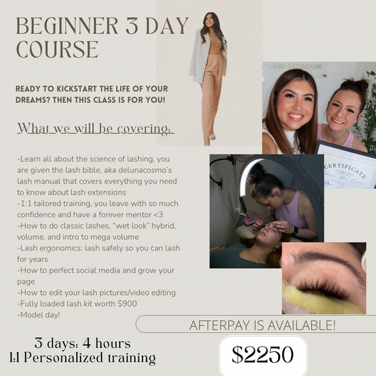 3 Day Beginner Lash Course